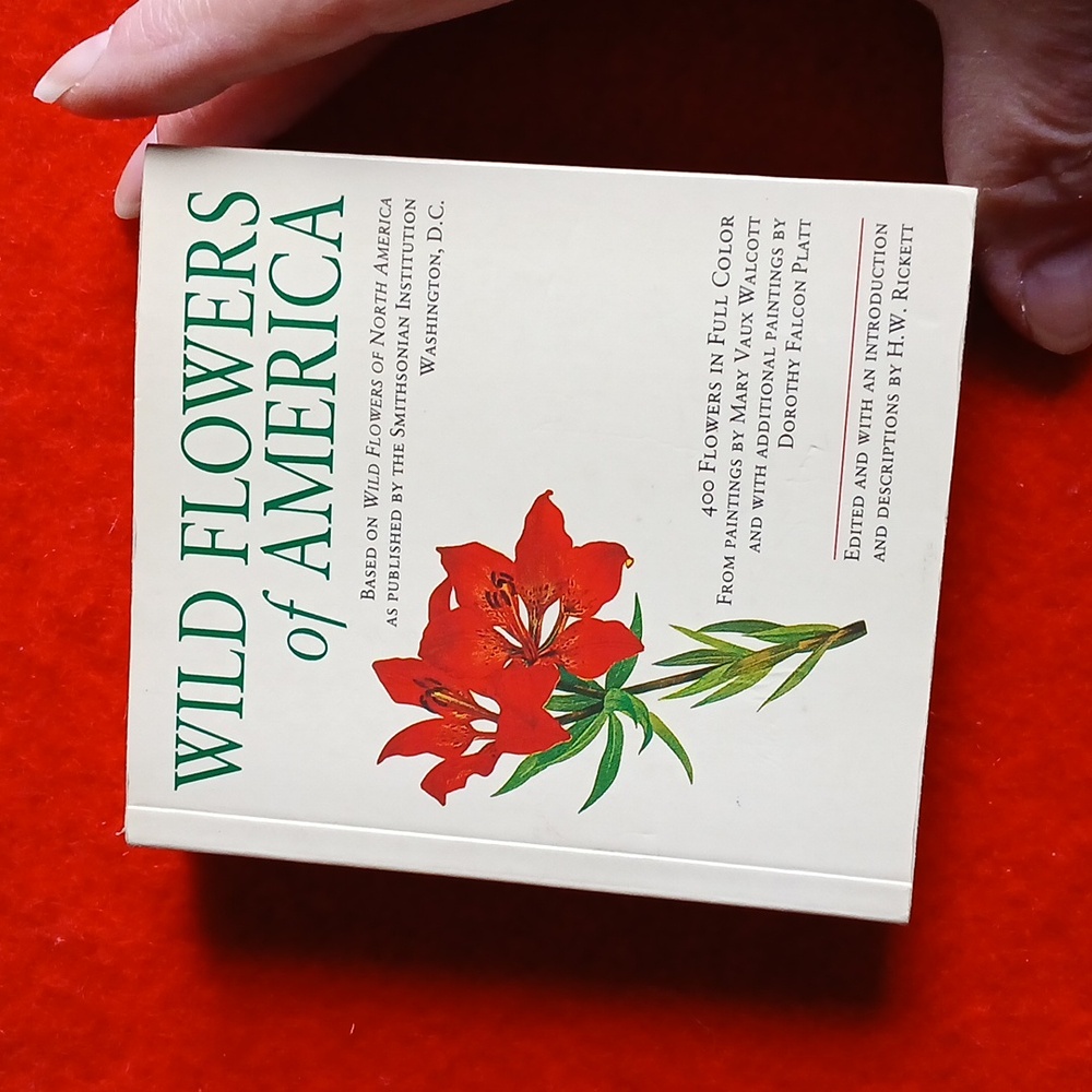 Wild flowers of America, Tiny Folio, soft cover